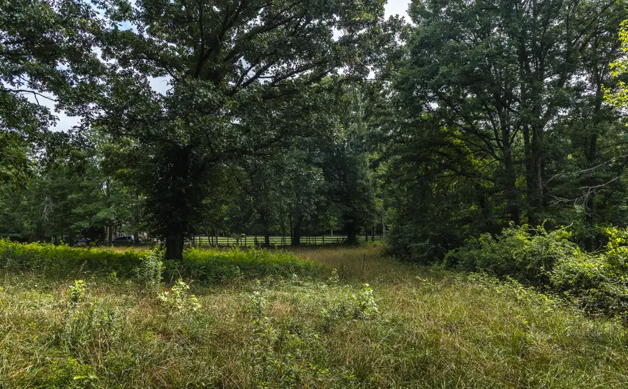 912 Palmer Avenue, Signal Mountain, TN 37377 - #2