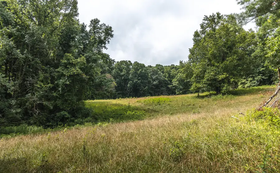 912 Palmer Avenue, Signal Mountain, TN 37377 - #3
