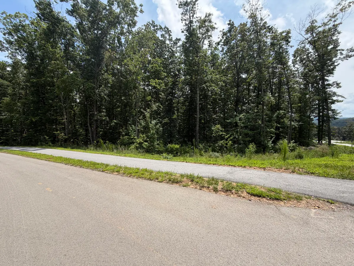 8482 Big Sky Lane #(Lot 132), Signal Mountain, TN 37377 - #1