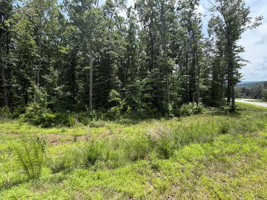 8482 Big Sky Lane #(Lot 132), Signal Mountain, TN 37377 - #2