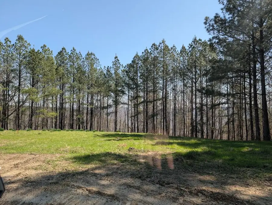 Lot 2241 Riverbend Rd Road, Guild, TN 37340 - #3