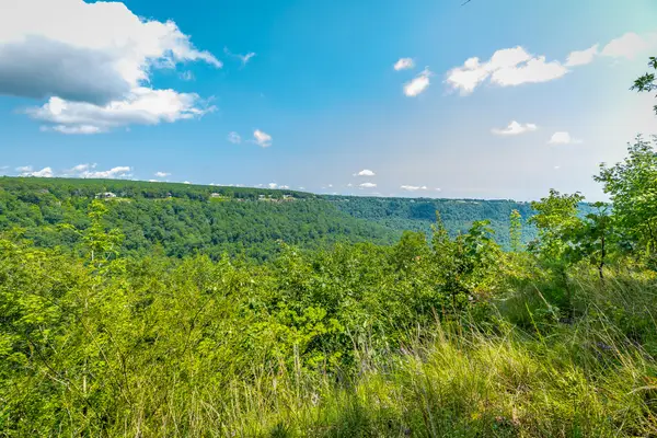 0 Crockett Loop #Jf65, Jasper, TN 37347