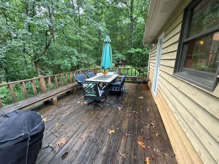 447 Old Hollow Trail, Cohutta, GA 30710 - #2