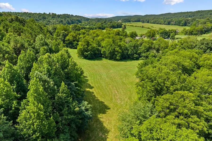 0 Wilson Caldwell Road, Cohutta, GA 30710 - #3