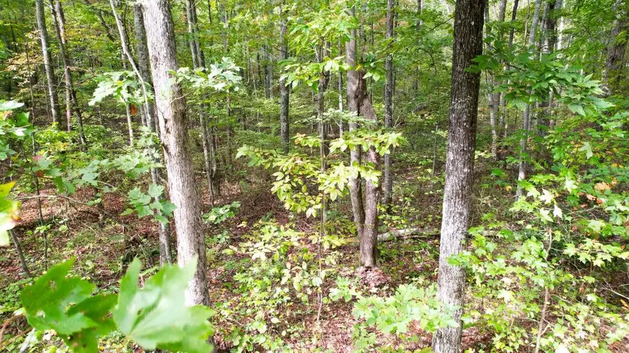 4.16 Acres N Stewart Lane, Rising Fawn, GA 30738 - #2