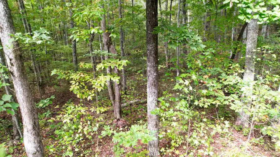 4.16 Acres N Stewart Lane, Rising Fawn, GA 30738 - #3