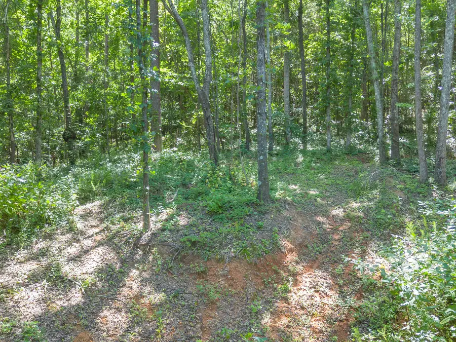5545 Francis Springs, Whitwell, TN 37397 - #3