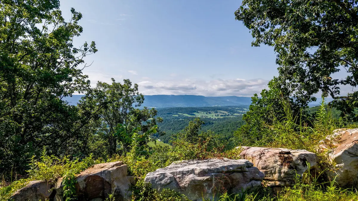 0 Lee Station Mountain Road Road #080 022.00, Pikeville, TN 37367 - #1