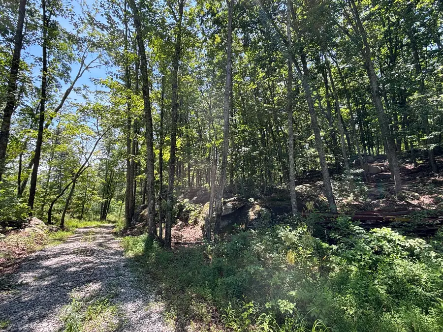 0 Lee Station Mountain Road Road #080 022.00, Pikeville, TN 37367 - #2