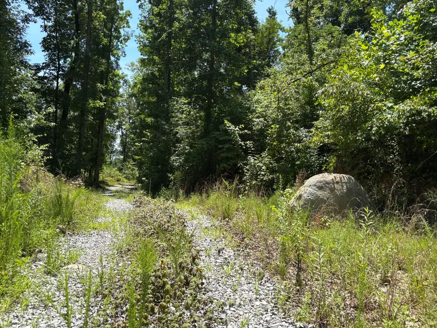 0 Lee Station Mountain Road Road #080 022.00, Pikeville, TN 37367 - #3