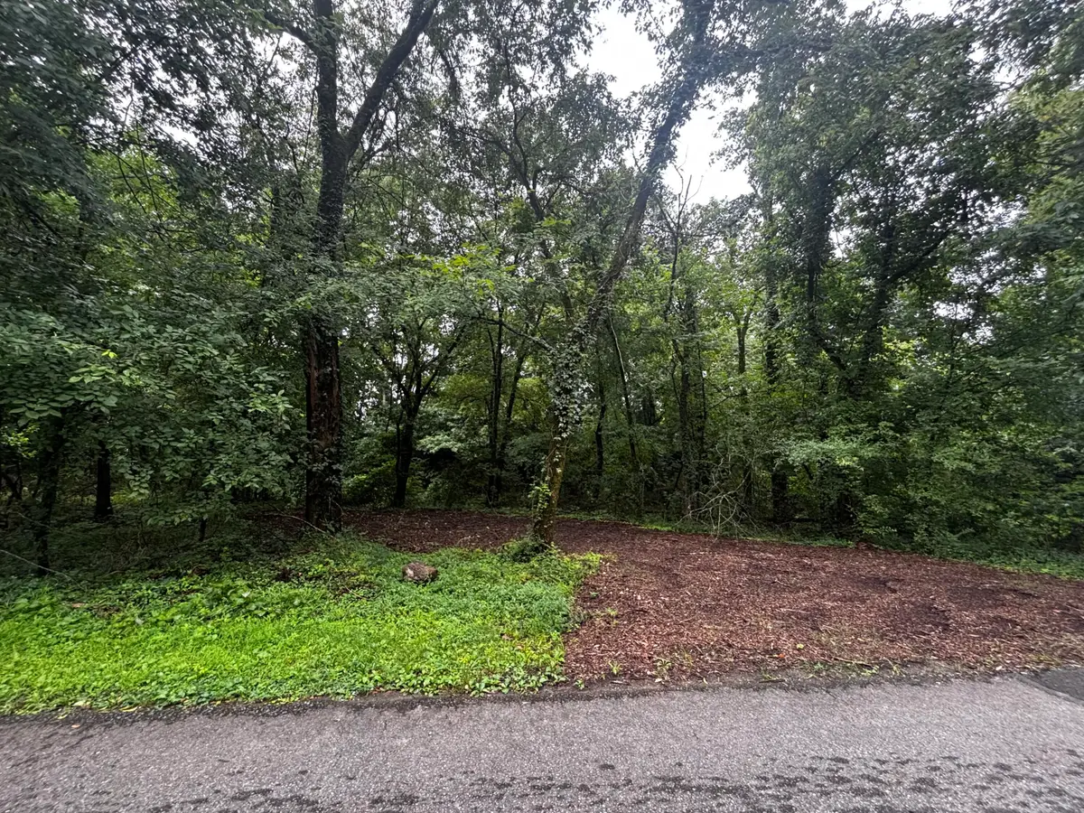 835 Irondale Road, South Pittsburg, TN 37380 - #1