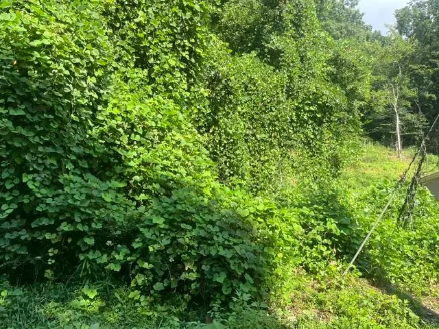 8813 Gann Road #5, Soddy Daisy, TN 37379 - #2