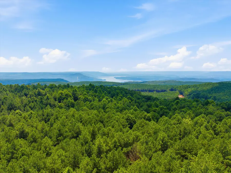 2023 Crescent Court, Guild, TN 37340 - #3