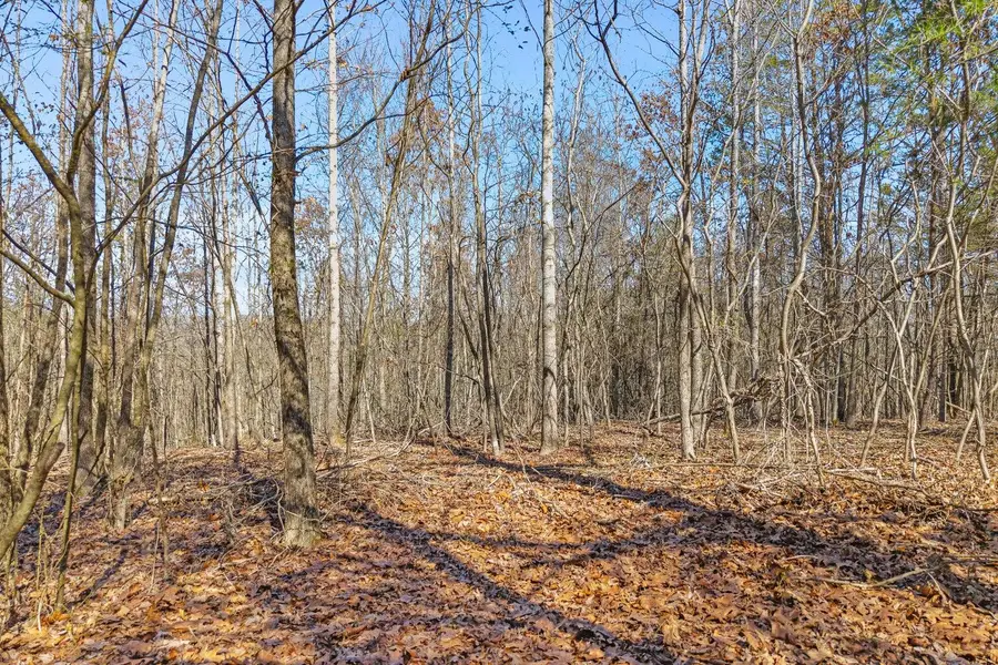 0 Ware Farms Road, Spring City, TN 37381 - #2