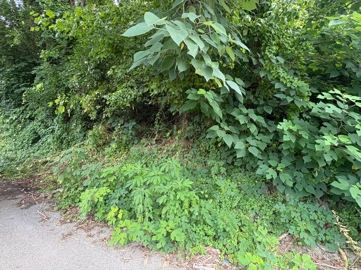 3820 Grace Avenue, Chattanooga, TN 37406 - #1
