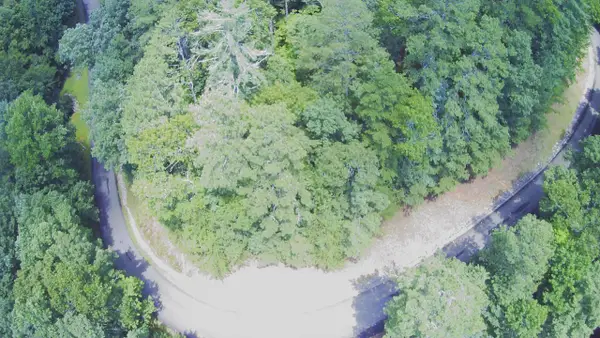 1368 Mtn Creek Hollow Drive, Talking Rock, GA 30175