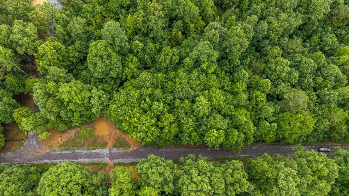 311 Old York Road Ne, Cleveland, TN 37323 - #1