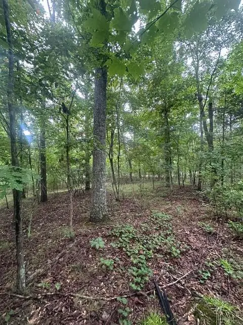 Lot 108 Chesadu Circle Circle #108, South Pittsburg, TN 37380 - #1