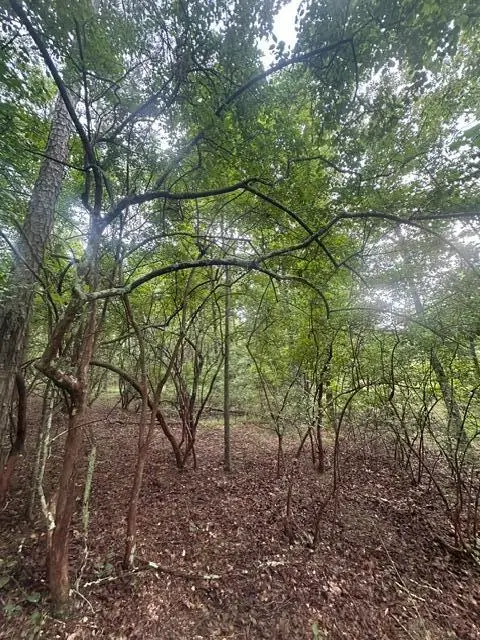 Lot 108 Chesadu Circle Circle #108, South Pittsburg, TN 37380 - #3