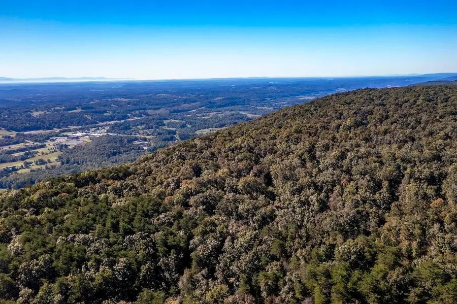 55 Wash Pelfrey Road, Evensville, TN 37332 - #3