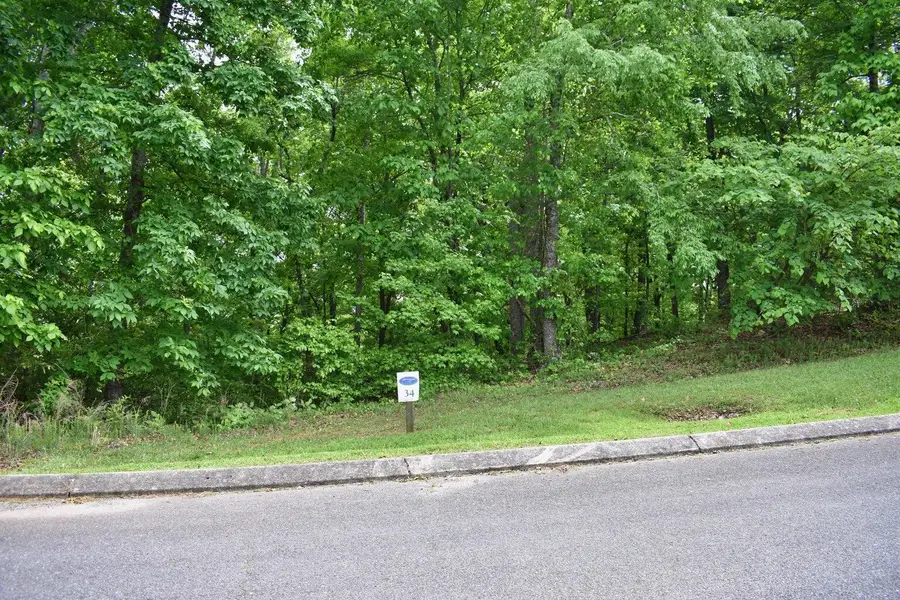 450 Hidden Forest Trail, Spring City, TN 37381 - #2
