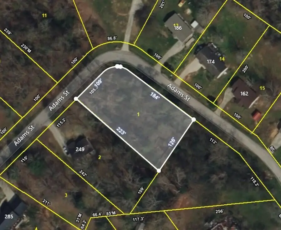000 Adams Street, Spring City, TN 37381 - #1