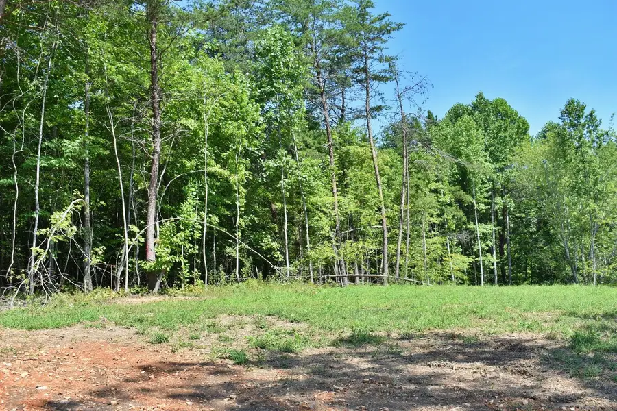 521 Norton Road, Ten Mile, TN 37880 - #2