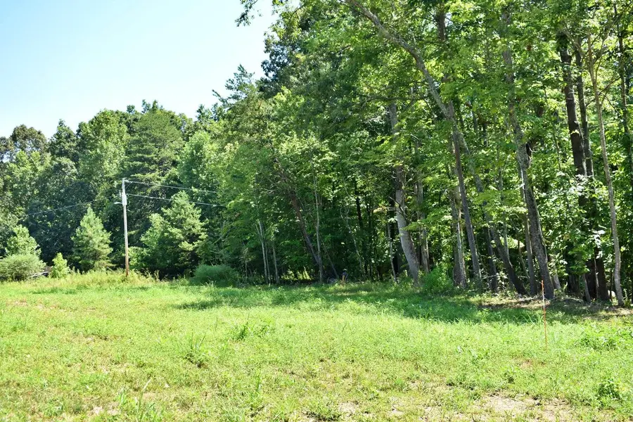 521 Norton Road, Ten Mile, TN 37880 - #3