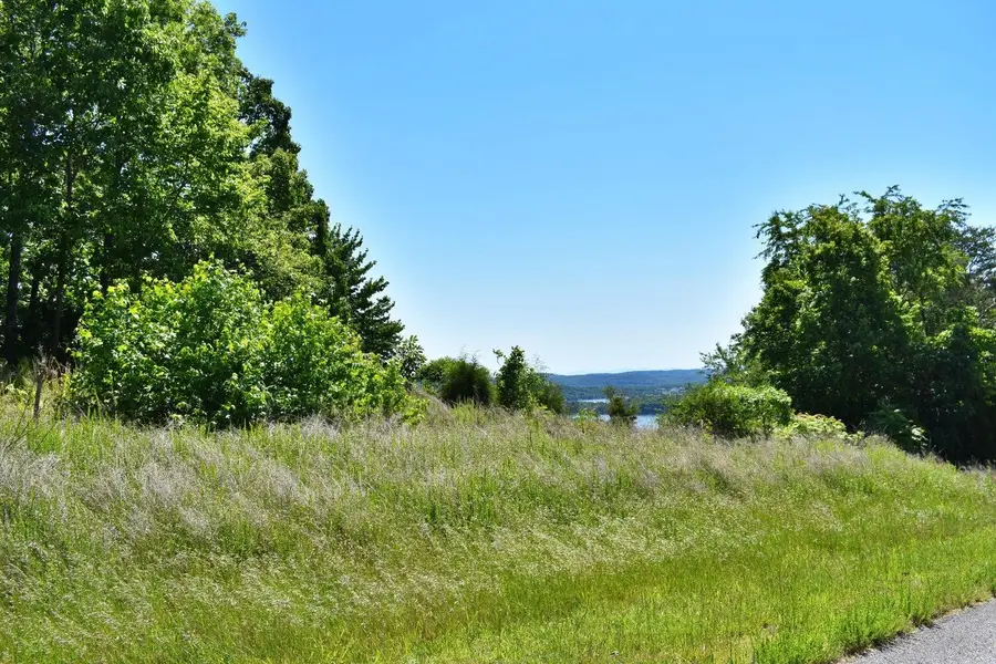 0 Flint Ridge Road, Rockwood, TN 37854 - #2