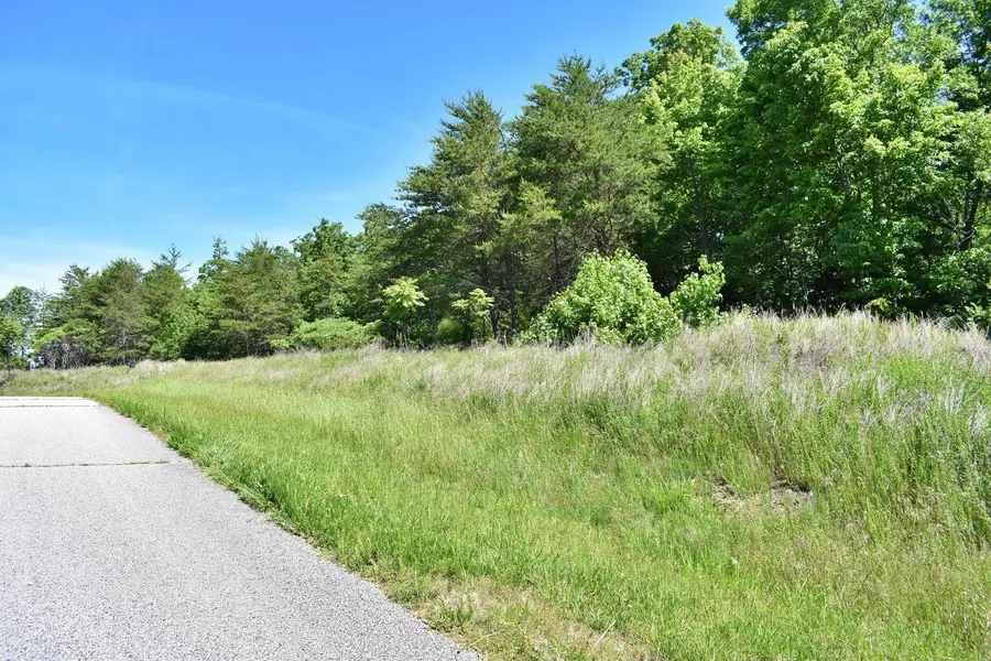 0 Flint Ridge Road, Rockwood, TN 37854 - #3