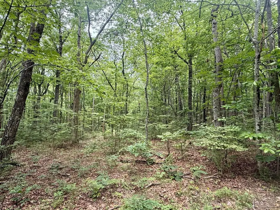 41.04ac Windridge Drive, Dunlap, TN 37327 - #2