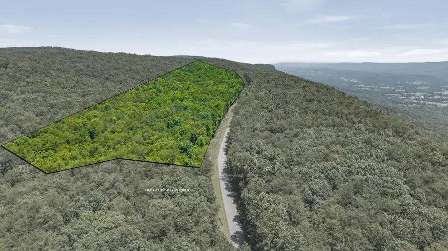 41.04ac Windridge Drive, Dunlap, TN 37327 - #3
