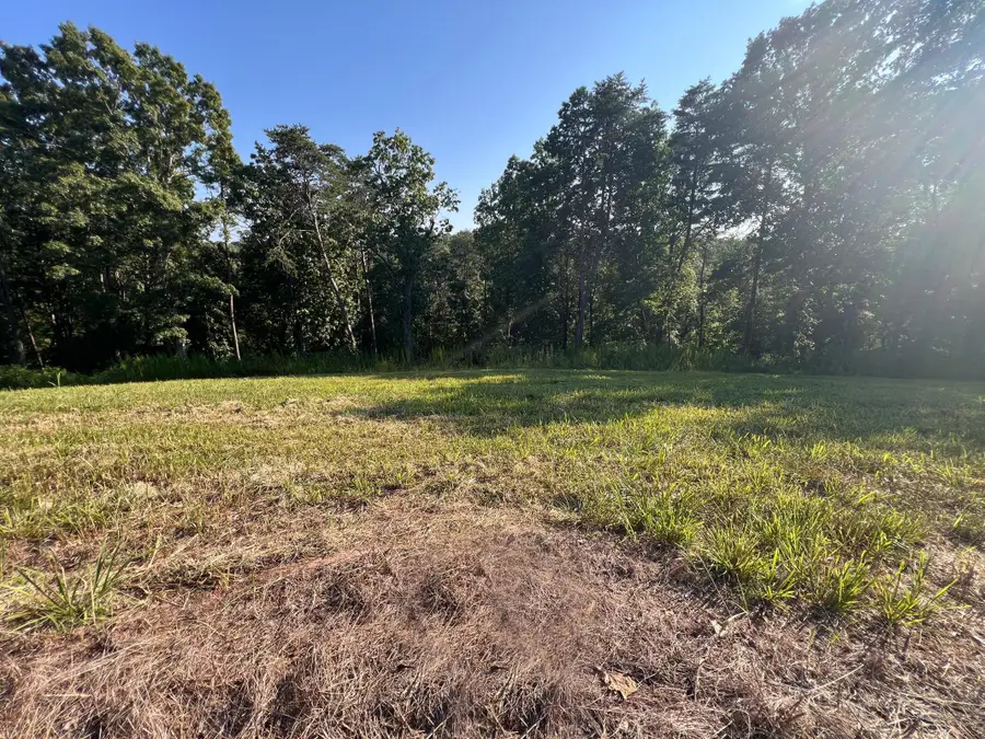 Lot 29 State Highway 60, Birchwood, TN 37308 - #3
