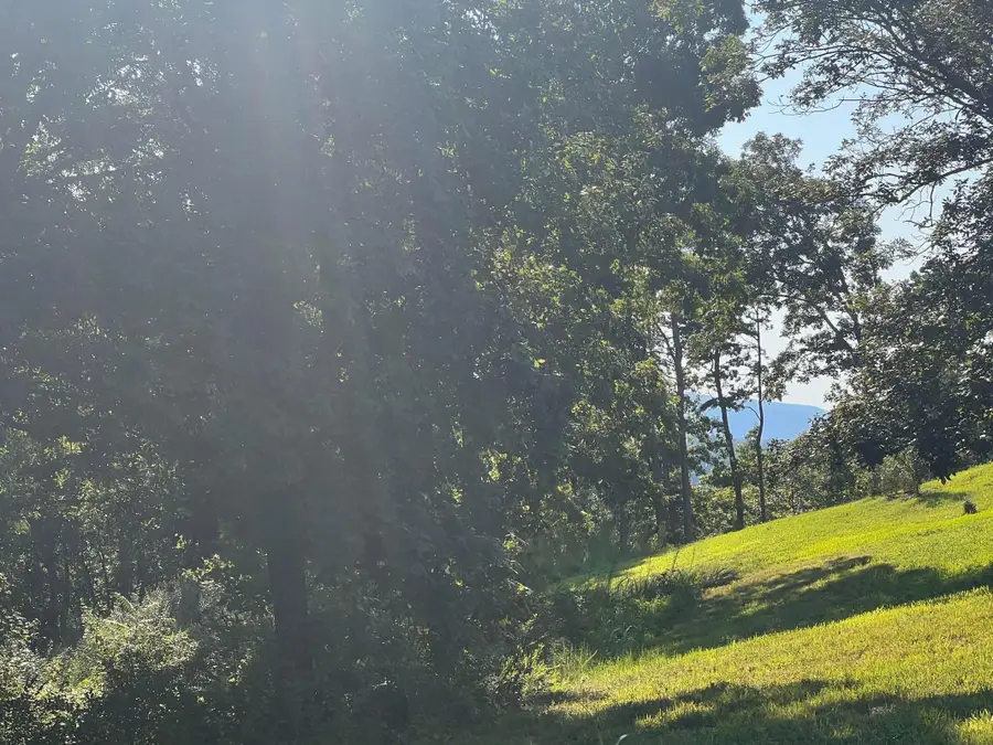 Lot 28 State Highway 60, Birchwood, TN 37308 - #2