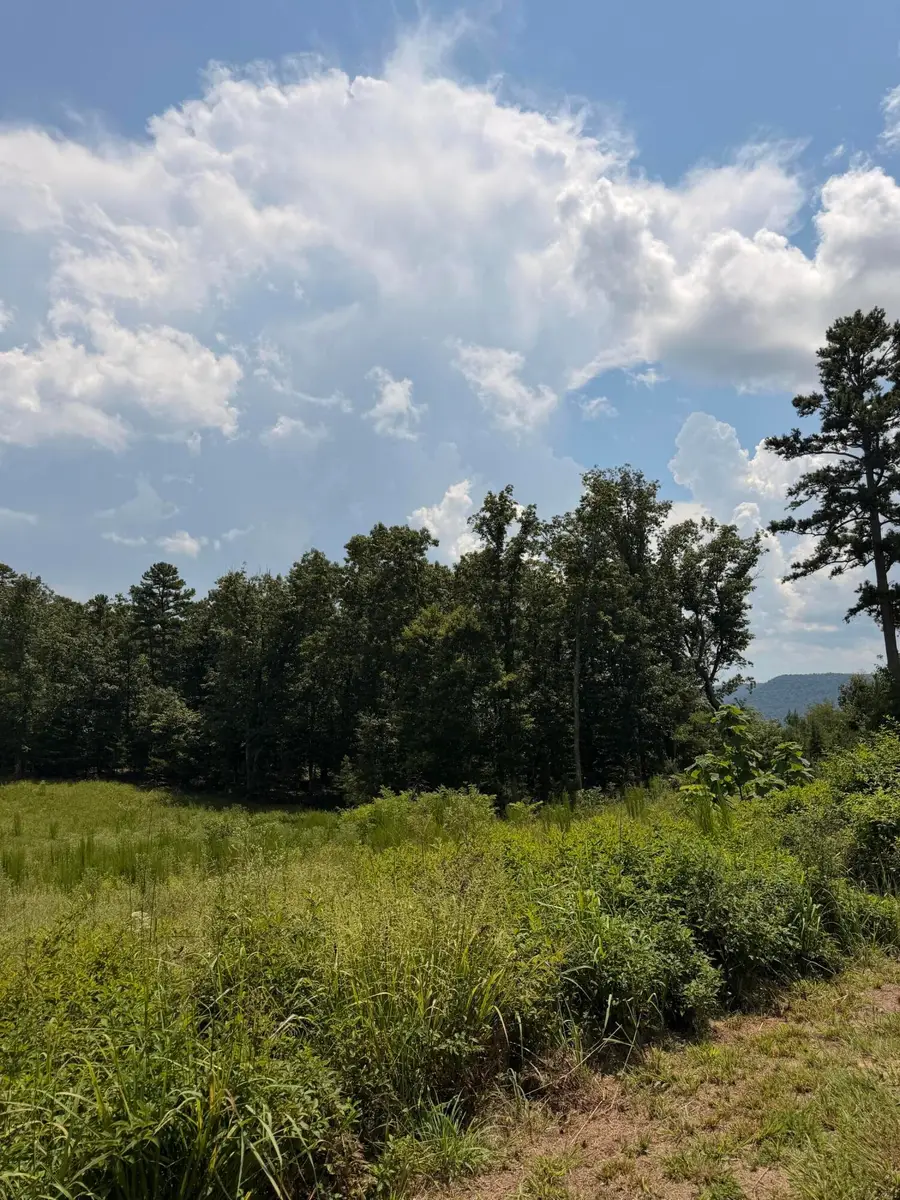 Tract 12 Old Harris Turnpike Road #12, South Pittsburg, TN 37380 - #2
