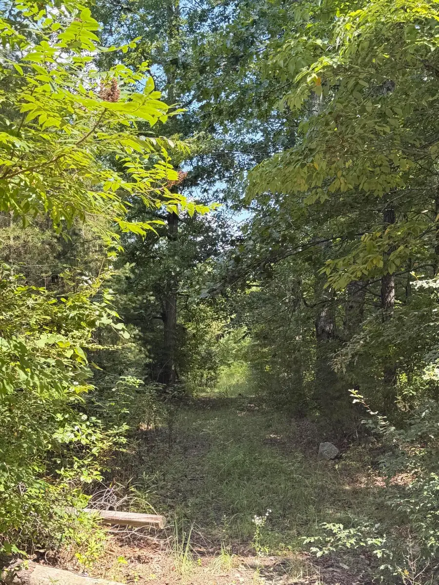 704 Windstone Drive, Sequatchie, TN 37374 - #2