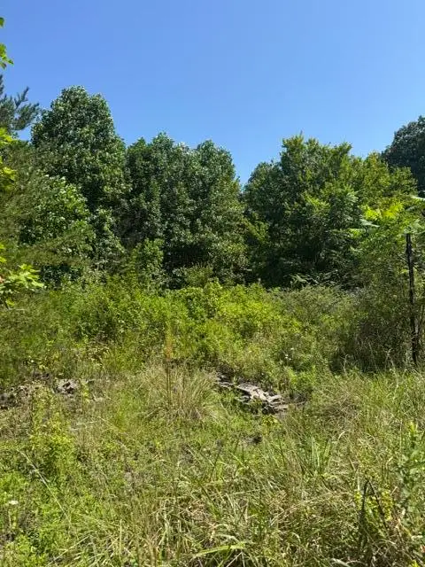 704 Windstone Drive, Sequatchie, TN 37374 - #3