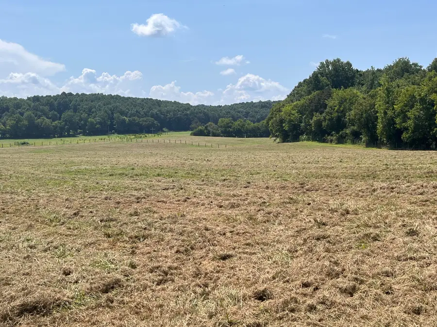 160 County Road 968, Delano, TN 37325 - #3