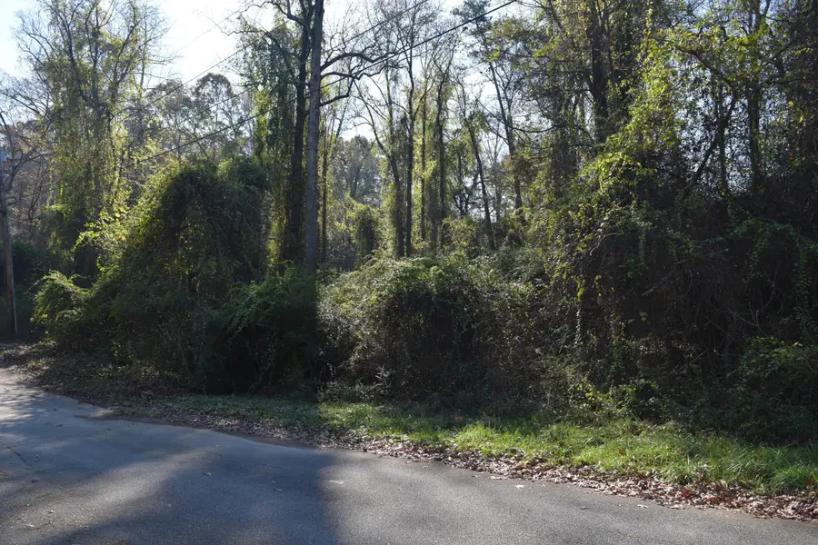 6830 Buck Trail Drive, Harrison, TN 37341 - #3