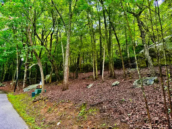 0 Eagle Creek Trail #Lot 4, Rising Fawn, GA 30738