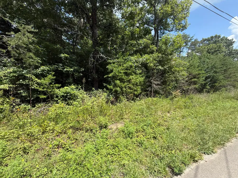 425 Woodland Avenue, Altamont, TN 37301 - #2