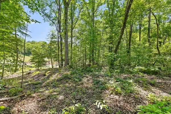 0 Maple Leaf Trail #Lot 5, Lookout Mountain, GA 30750