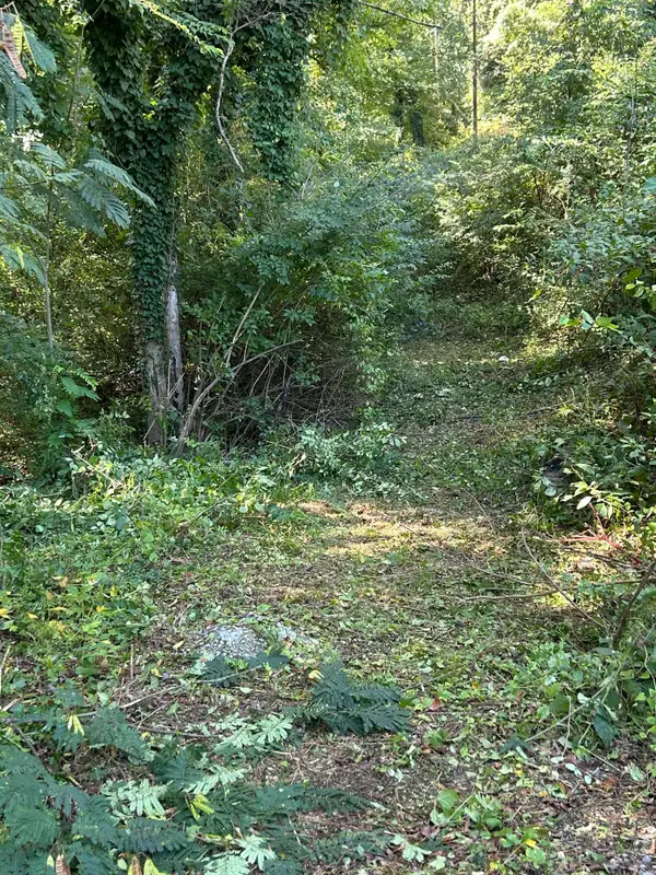0 Veterans Way, Chattanooga, TN 37411