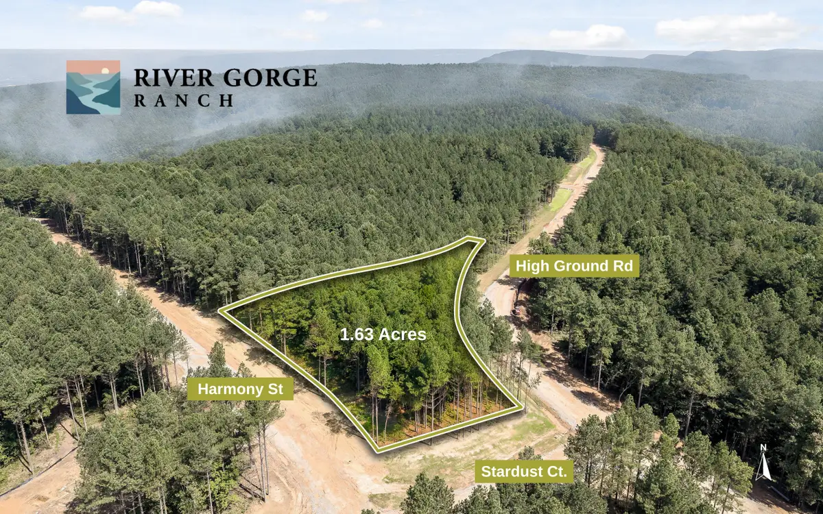 Lot 2020 Harmony Street, Guild, TN 37340 - #1