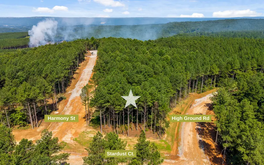 Lot 2020 Harmony Street, Guild, TN 37340 - #3