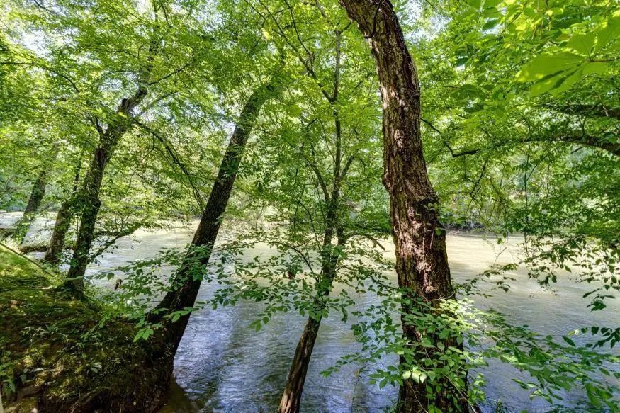160 Tree Frog Lane, Benton, TN 37307 - #3
