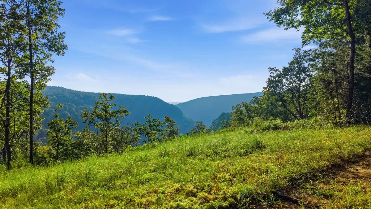 0 Worley Road #Lot 13, Soddy Daisy, TN 37379 - #1