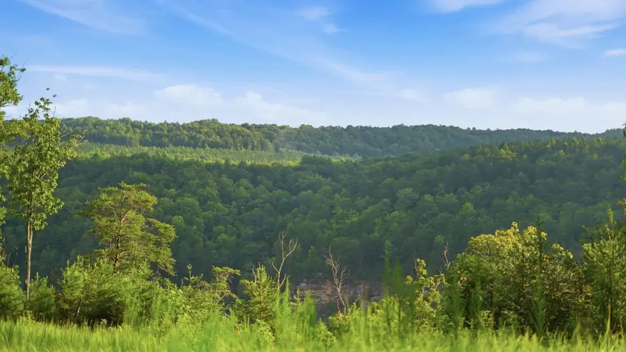 0 Worley Road #Lot 13, Soddy Daisy, TN 37379 - #2