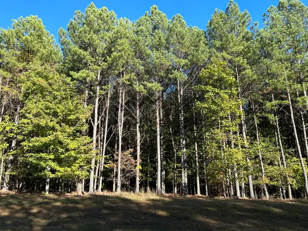 2035 Crockett Pointe #Jf-609, Jasper, TN 37347