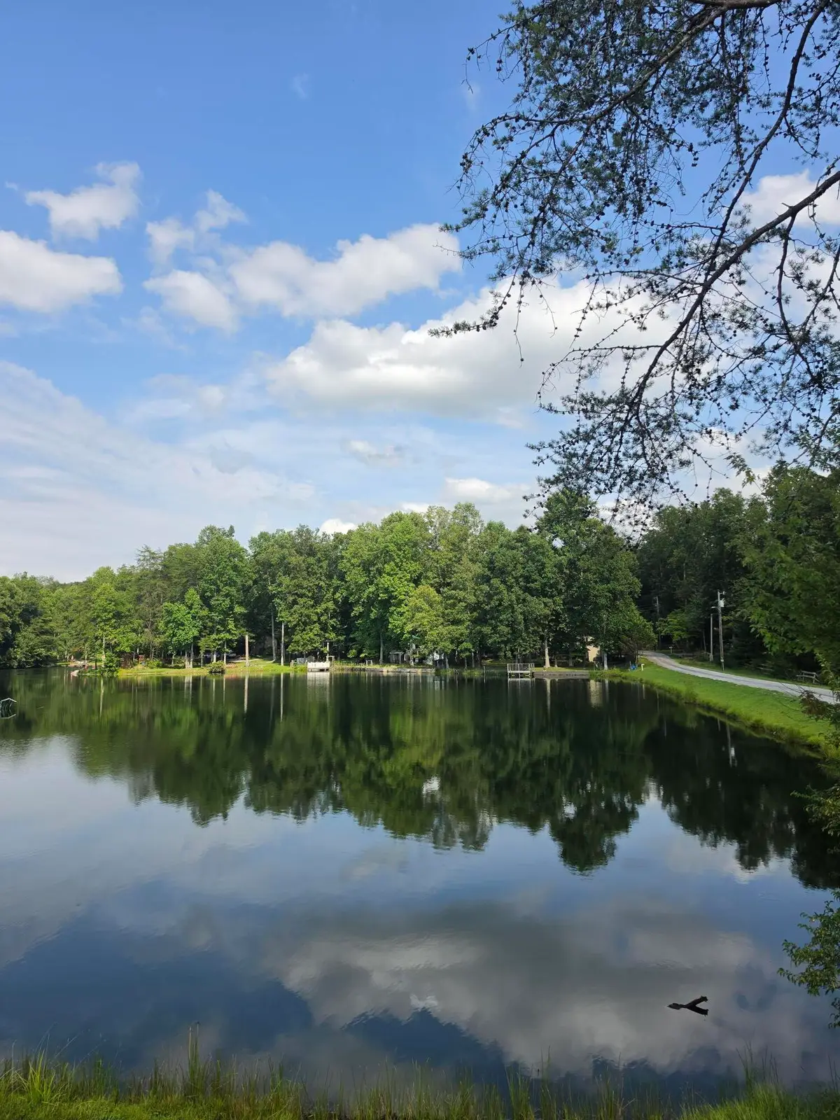 292 David Crockett Road #46/47, Crossville, TN 38572 - #1